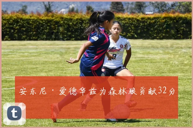 安东尼·爱德华兹为森林狼贡献32分